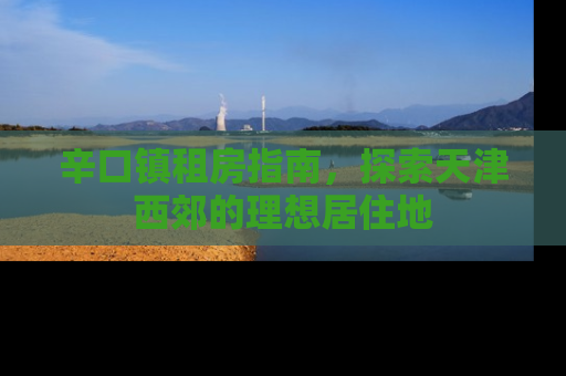 辛口镇租房指南，探索天津西郊的理想居住地