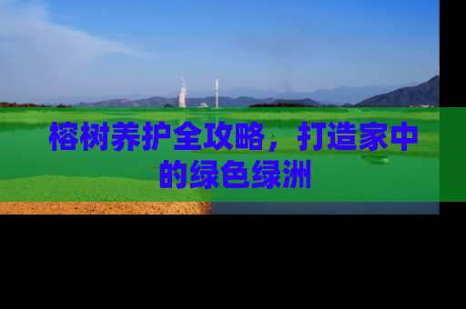 榕树养护全攻略，打造家中的绿色绿洲