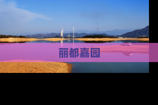 丽都嘉园