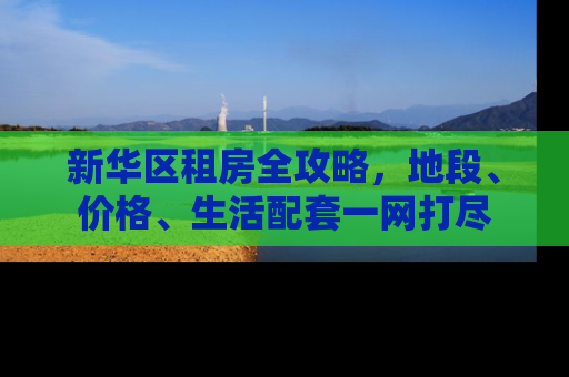 新华区租房全攻略，地段、价格、生活配套一网打尽