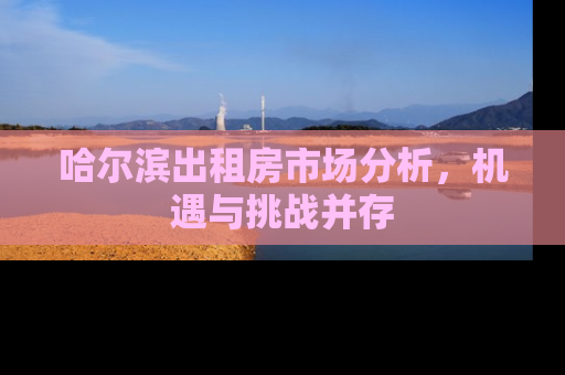 哈尔滨出租房市场分析，机遇与挑战并存