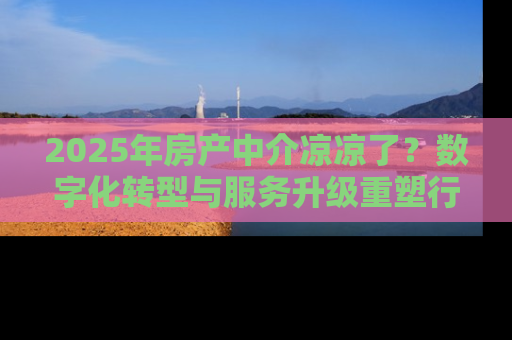 2025年房产中介凉凉了？数字化转型与服务升级重塑行业未来