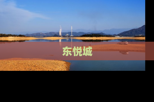 东悦城