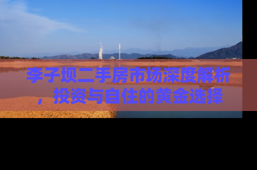 李子坝二手房市场深度解析，投资与自住的黄金选择