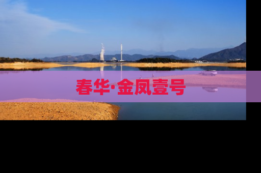 春华·金凤壹号