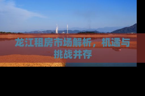 龙江租房市场解析，机遇与挑战并存