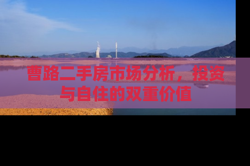 曹路二手房市场分析，投资与自住的双重价值