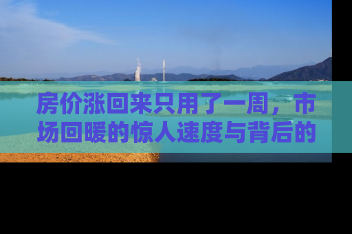 房价涨回来只用了一周，市场回暖的惊人速度与背后的原因