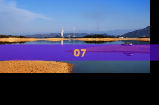 07