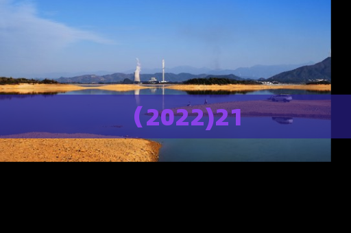 （2022)21