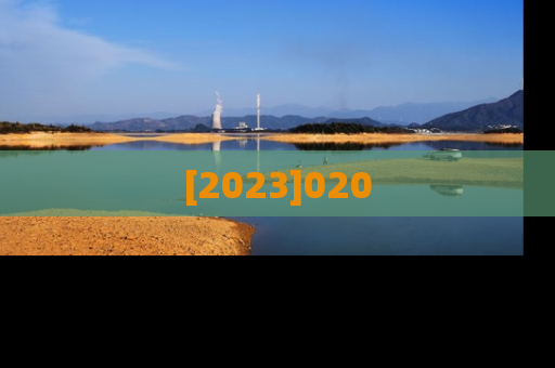 [2023]020