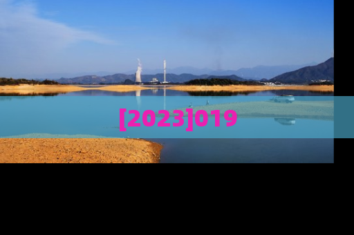 [2023]019