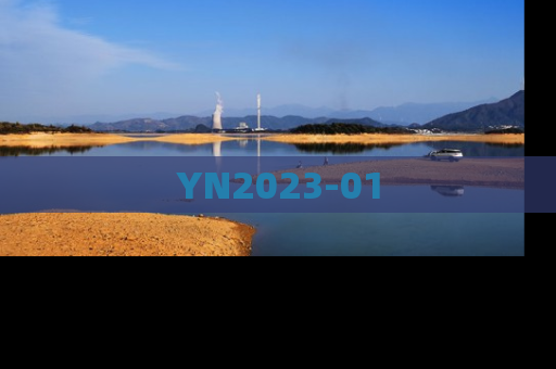 YN2023-01