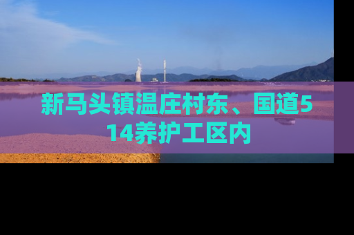新马头镇温庄村东、国道514养护工区内