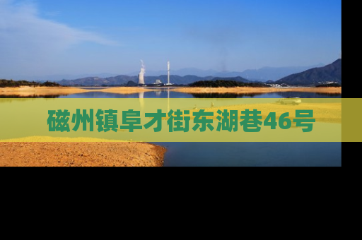 磁州镇阜才街东湖巷46号