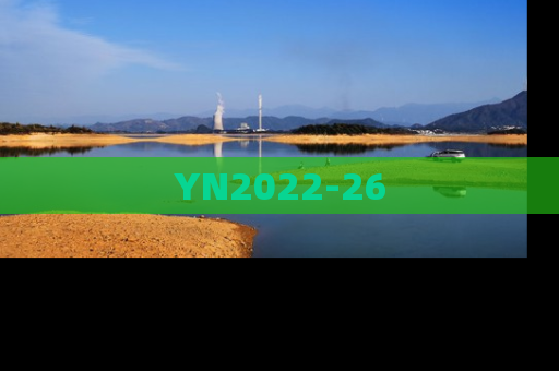 YN2022-26