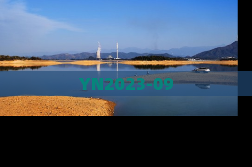 YN2023-09