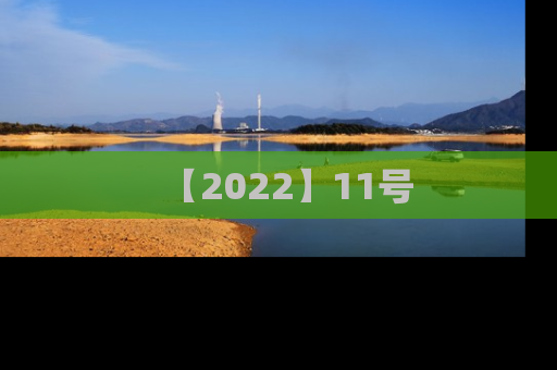 【2022】11号