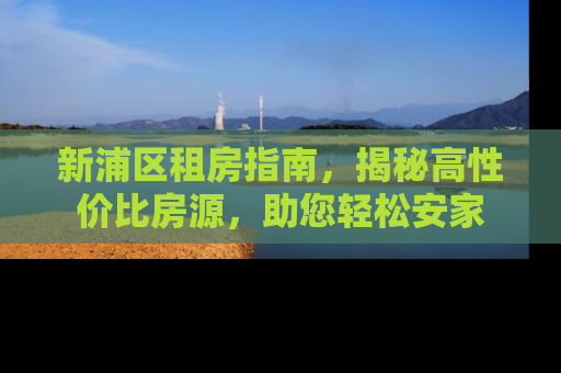 新浦区租房指南，揭秘高性价比房源，助您轻松安家