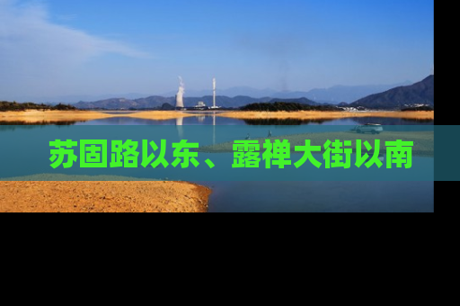 苏固路以东、露禅大街以南