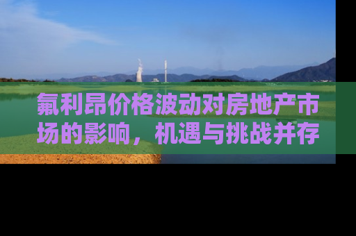 氟利昂价格波动对房地产市场的影响，机遇与挑战并存