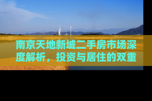 南京天地新城二手房市场深度解析，投资与居住的双重价值
