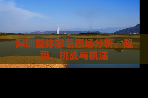 深圳整体家装市场分析，趋势、挑战与机遇