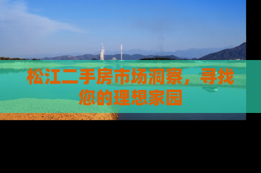 松江二手房市场洞察，寻找您的理想家园