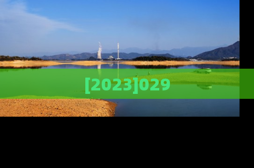 [2023]029