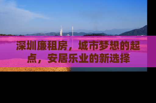 深圳廉租房，城市梦想的起点，安居乐业的新选择