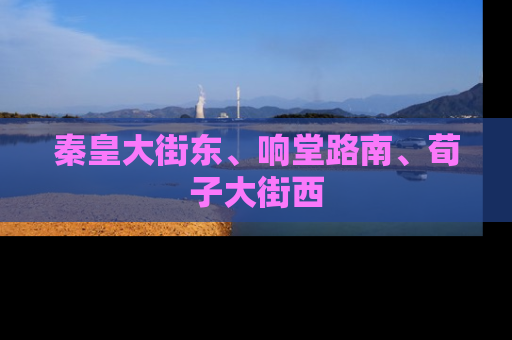秦皇大街东、响堂路南、荀子大街西