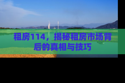 租房114，揭秘租房市场背后的真相与技巧