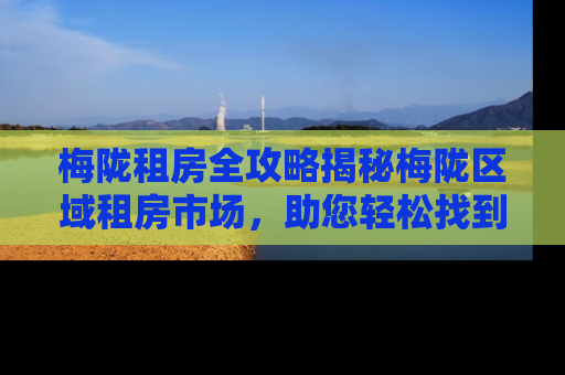 梅陇租房全攻略揭秘梅陇区域租房市场，助您轻松找到理想居所