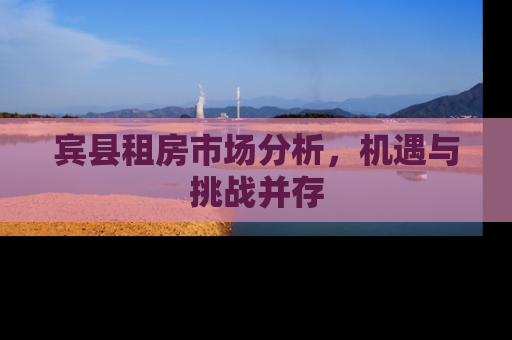宾县租房市场分析，机遇与挑战并存
