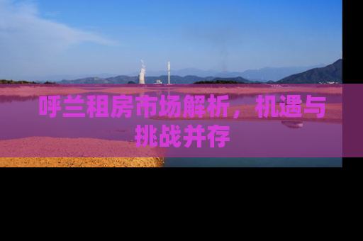 呼兰租房市场解析，机遇与挑战并存