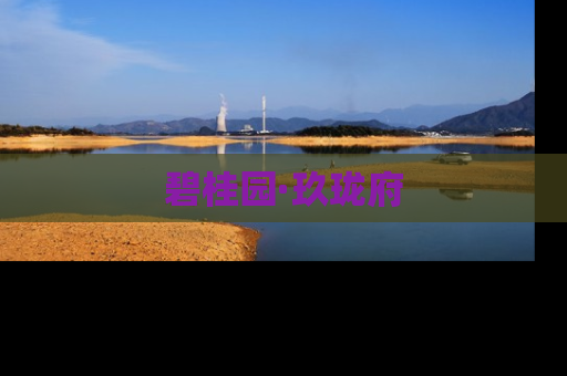 碧桂园·玖珑府