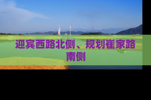 迎宾西路北侧、规划崔家路南侧