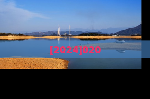 [2024]020