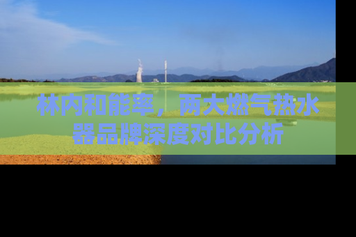 林内和能率，两大燃气热水器品牌深度对比分析