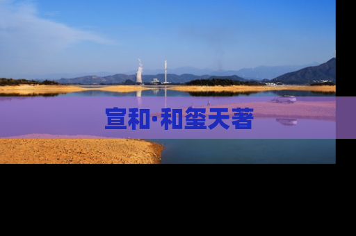 宣和·和玺天著