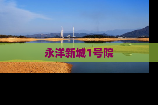 永洋新城1号院