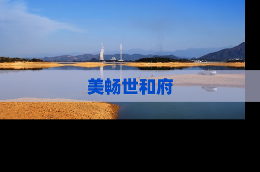 美畅世和府