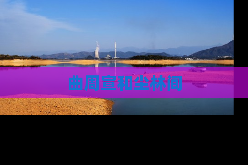 曲周宣和尘林间