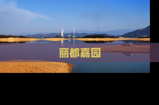 丽都嘉园