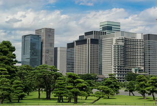 绿都湖滨花园，城市绿洲中的现代生活典范