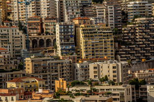 将军路上的租房指南，探索城市心脏的居住奥秘
