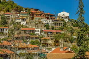 刘家桥租房指南，揭秘高性价比住宅区的生活魅力