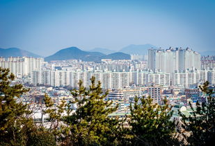 玉湖湾花园，城市绿洲中的现代居住典范