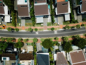 如东房屋出租，探索高性价比的居住选择