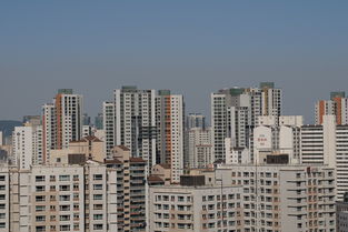 南湖路租房指南，揭秘城市绿洲中的居住天堂